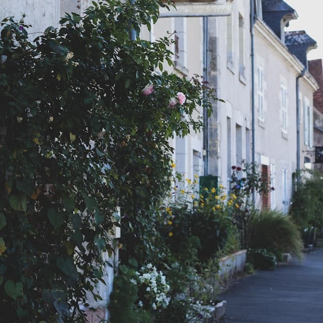 Rue fleurie d'un village français